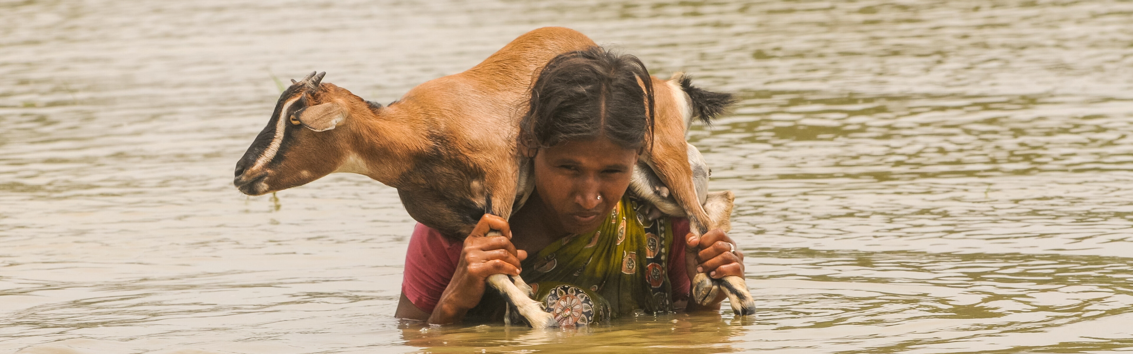 Eine Frau trägt eine Ziege durch das Wasser. Sie ist eine Betroffene des Monsuns in Indien.
