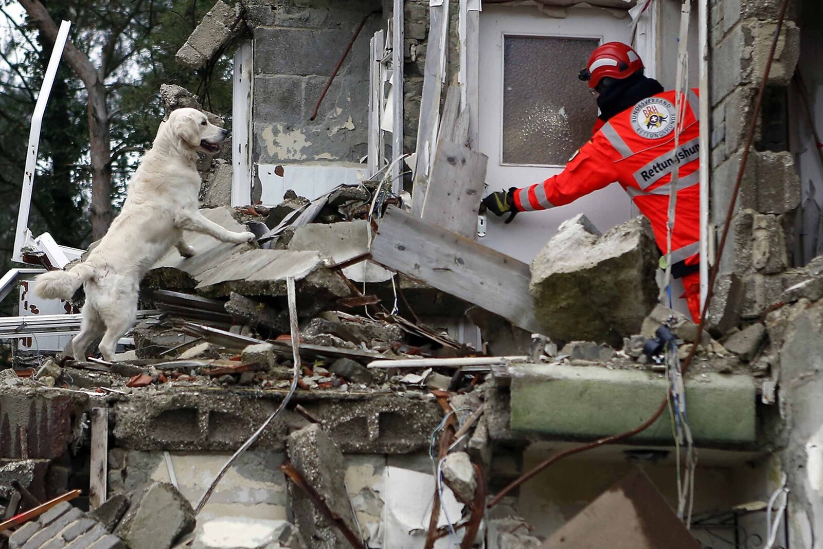 Rettung Rettungshund Haus Zerstörung