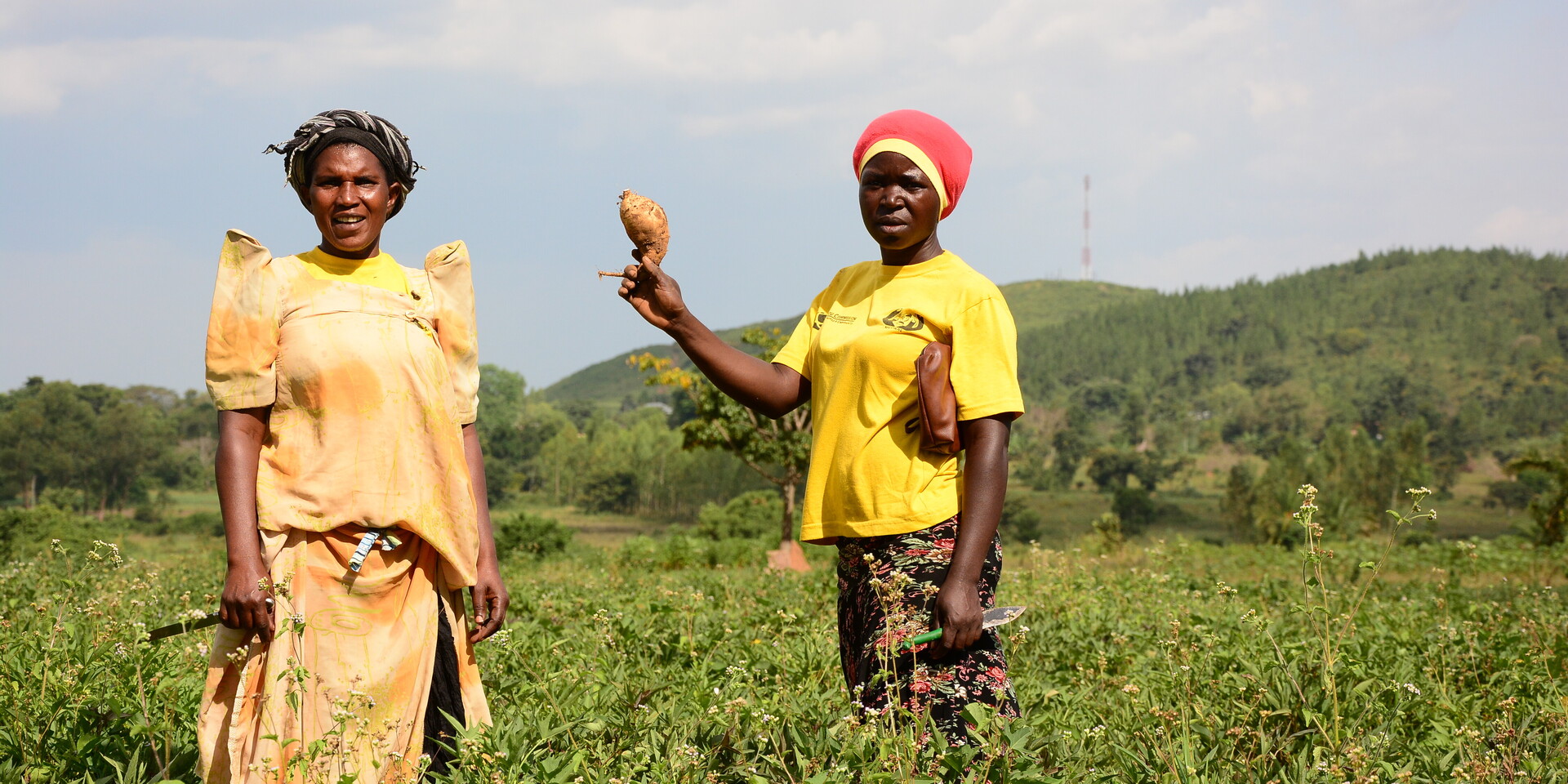 Frauen in Uganda bauen Gemüse an Frauen in Uganda bauen Gemüse an