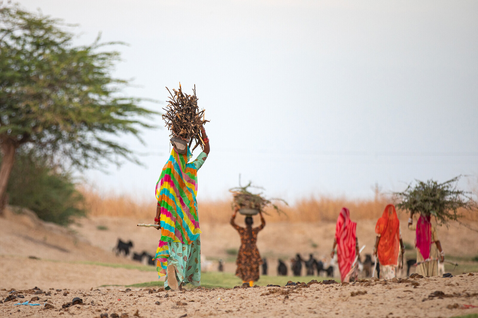 Frauen in einer von Dürre und Hunger betroffenen Region in Indien 