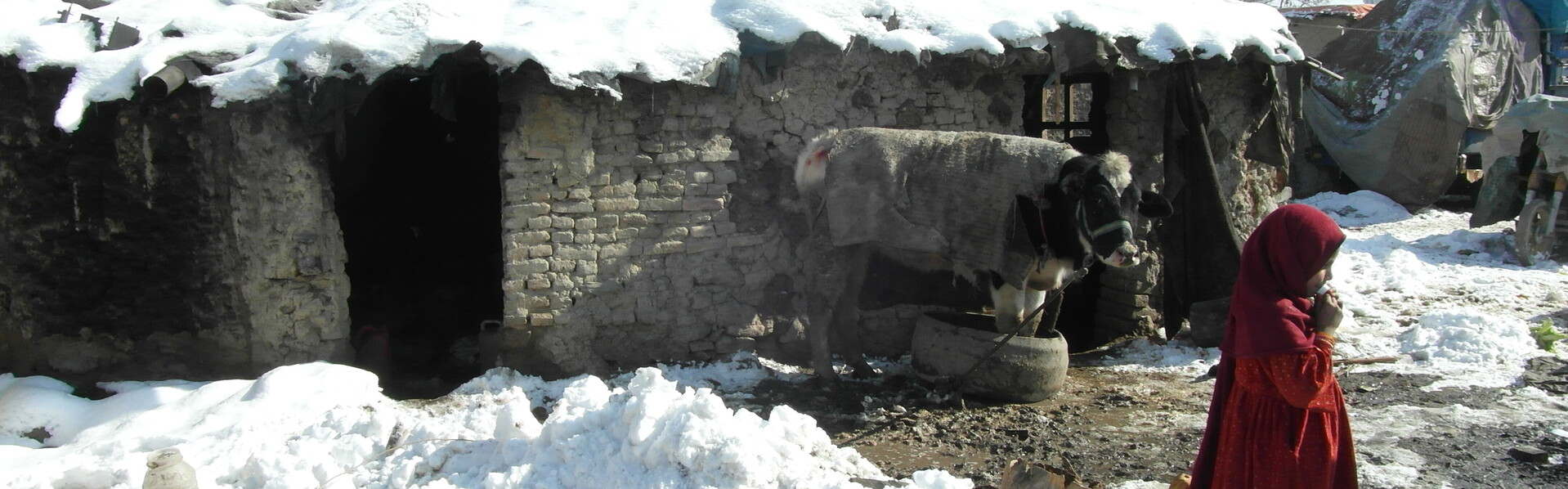 Viele Organisationen von Aktion Deutschland Hilft sind weiter für die Menschen in Afghanistan da Viele Organisationen von Aktion Deutschland Hilft sind weiter für die Menschen in Afghanistan da