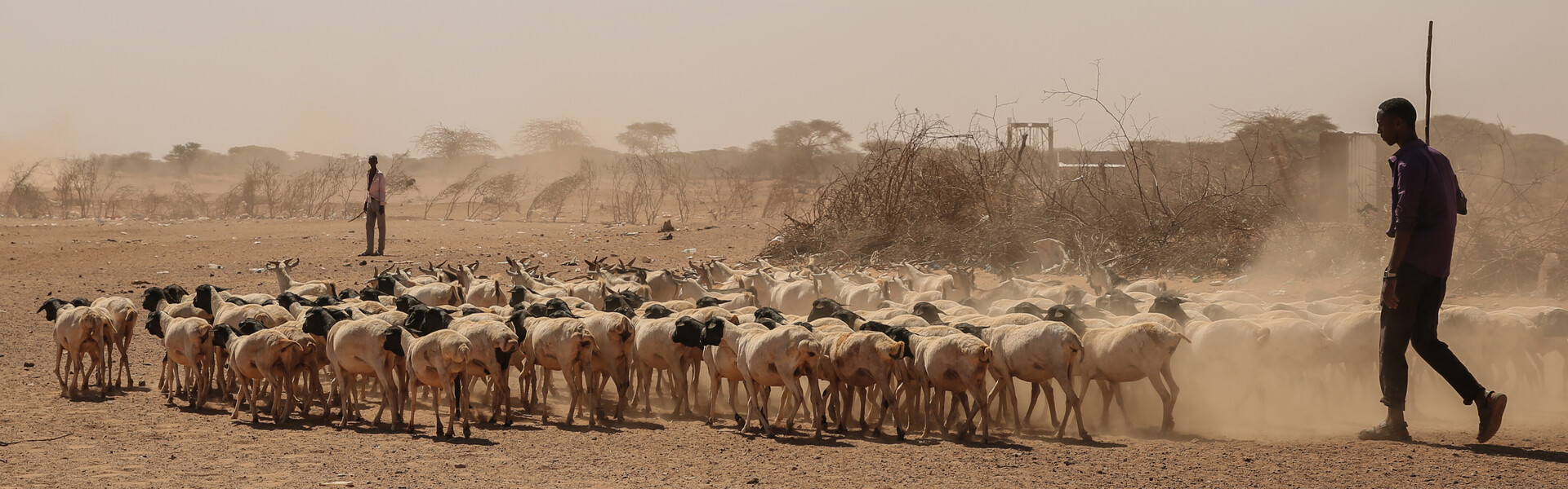 Dürren erschweren immer wieder das Leben der Menschen in Ghana. Dürren erschweren immer wieder das Leben der Menschen in Ghana.