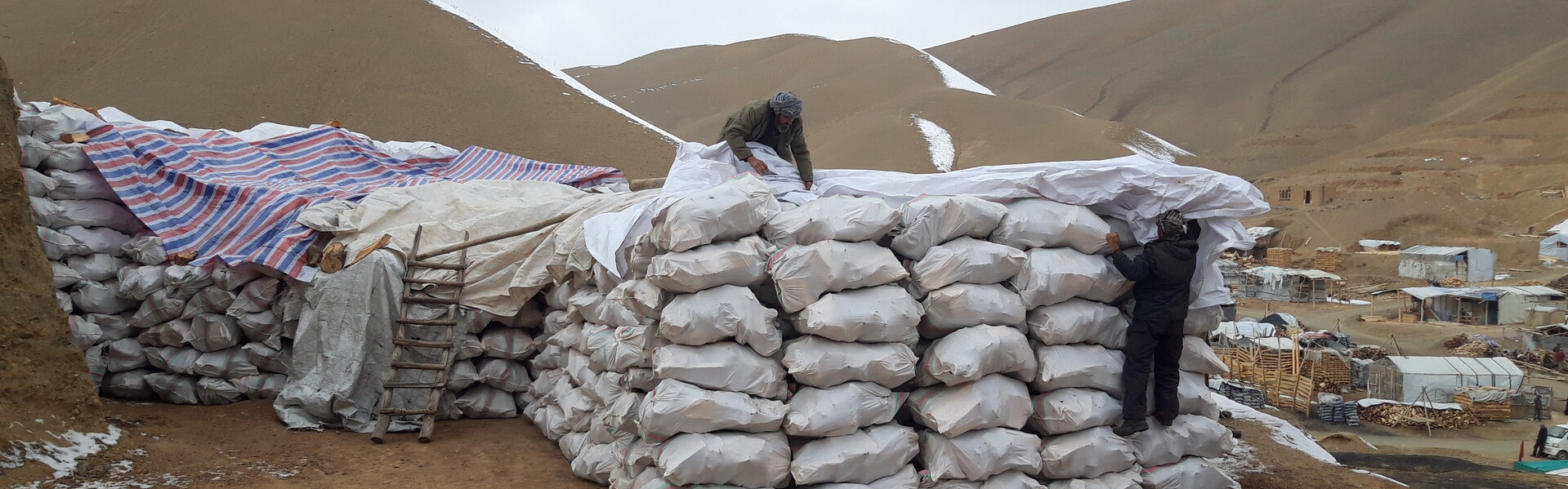 Heizmaterial für den Winter in Afghanistan Heizmaterial für den Winter in Afghanistan