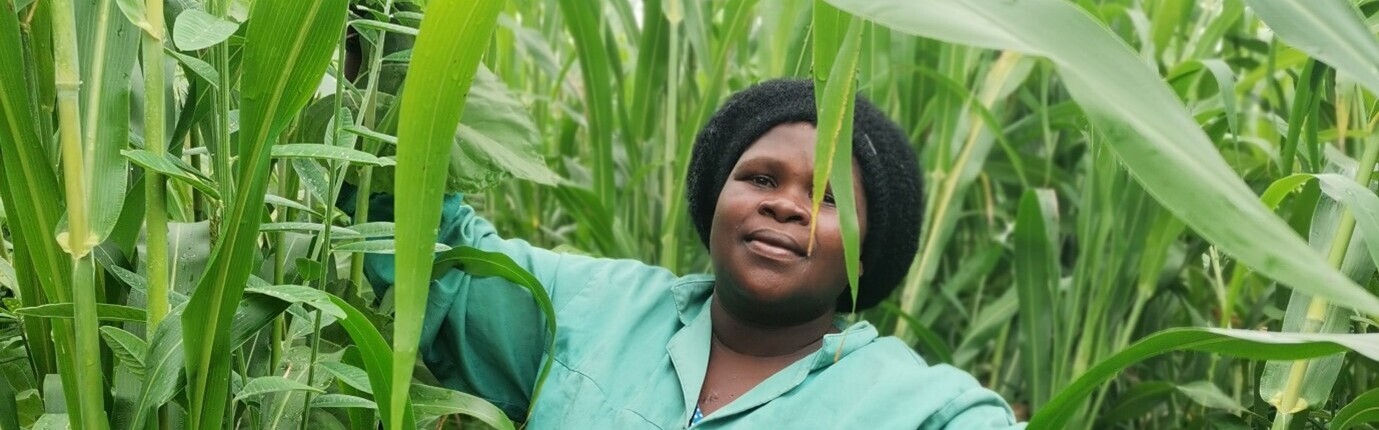 Phumelele Hlongwane auf ihrem Feld in Südafrika Phumelele Hlongwane auf ihrem Feld in Südafrika