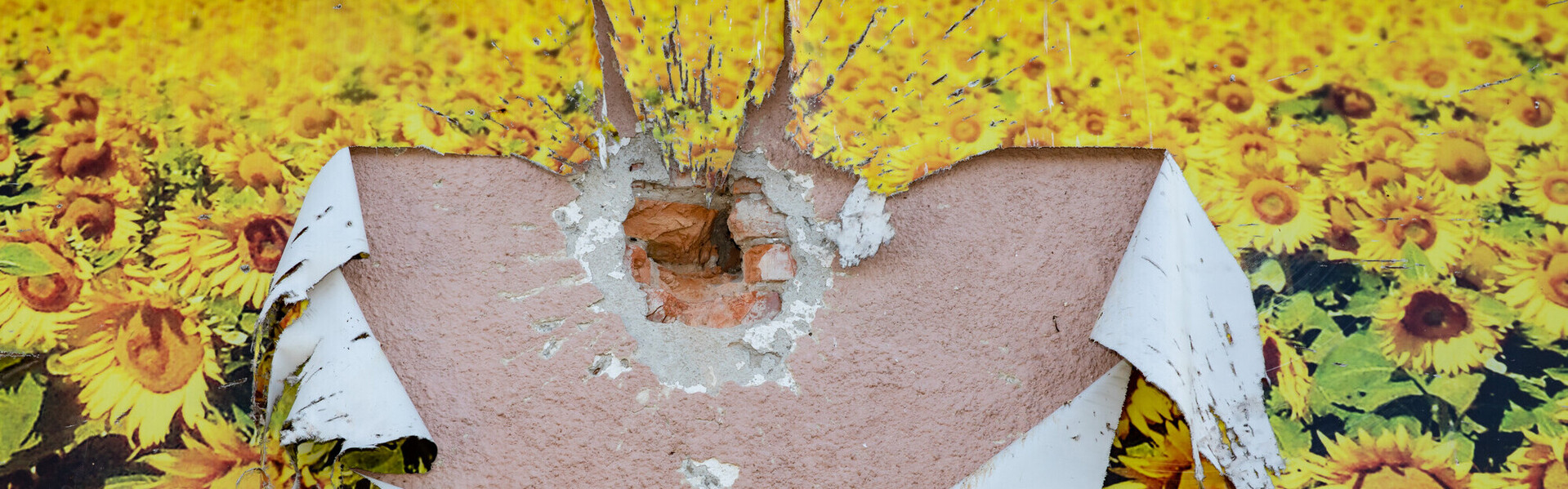 Zerstörung durch Krieg in der Ukraine an einer Hauswand mit Sonnenblumen-Tapete Zerstörung durch Krieg in der Ukraine an einer Hauswand mit Sonnenblumen-Tapete