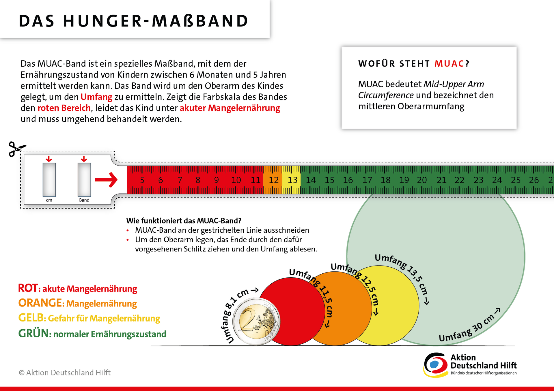 Infografik: Hungermaßband Infografik: Hungermaßband