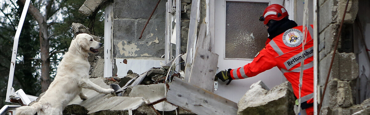 Bundesverband Rettungshunde