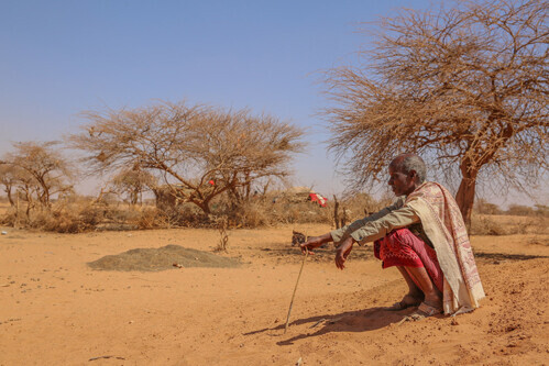 Ein Mann in Somalia sitzt unter einem Baum