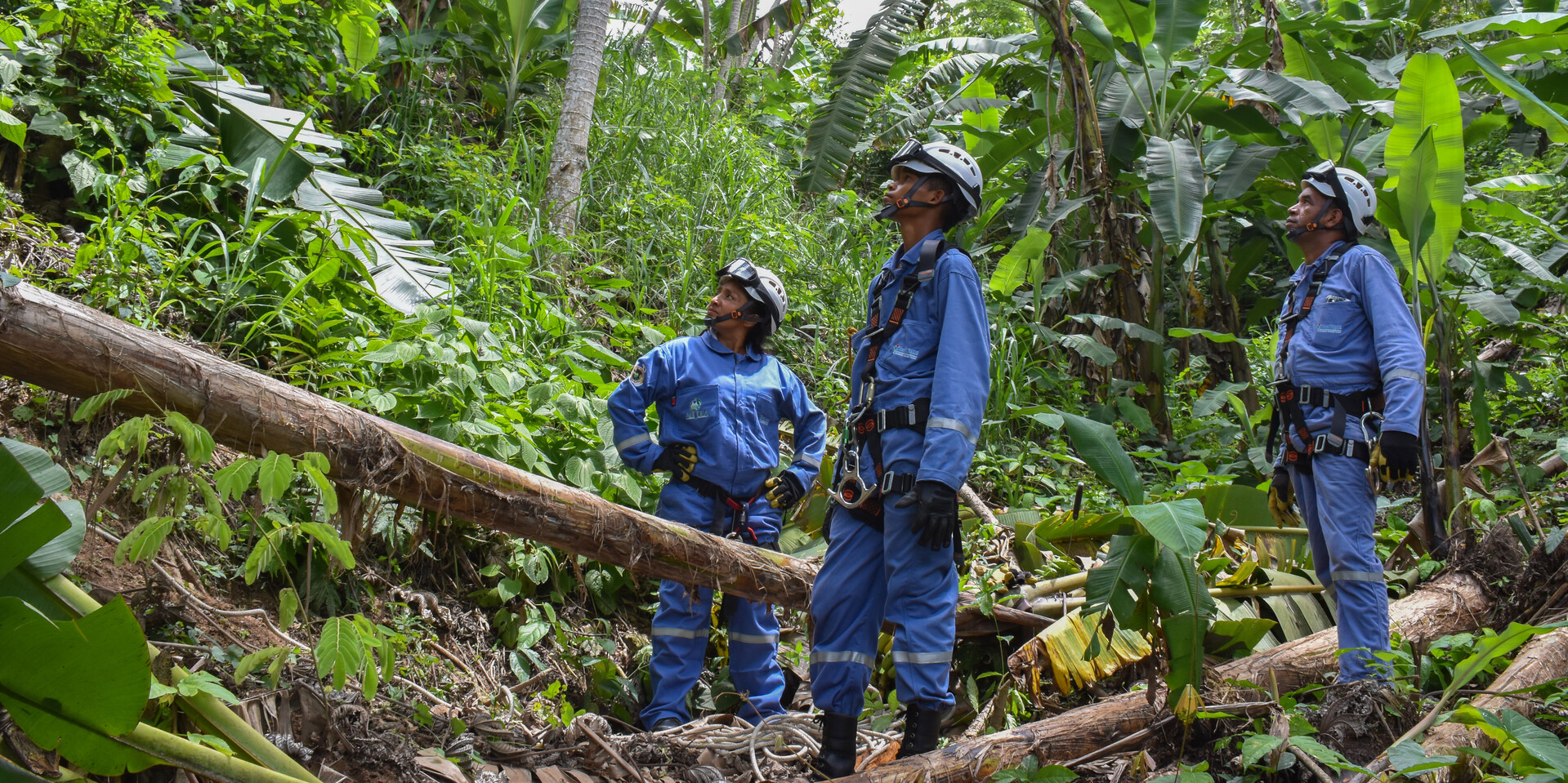 Freiwillige arbeiten als Brigadistas für den Umweltschutz in Kolumbien Freiwillige arbeiten als Brigadistas für den Umweltschutz in Kolumbien