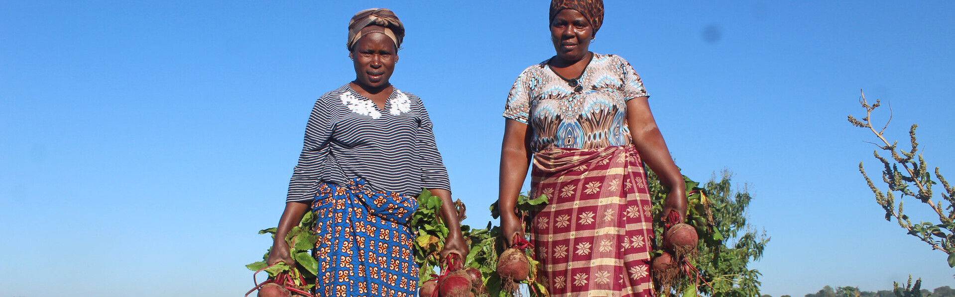 Zwei Bäuerinnen in Namibia mit frischer Ernte Zwei Bäuerinnen in Namibia mit frischer Ernte