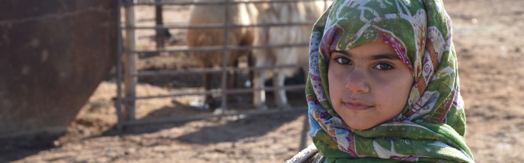 Ein Mädchen aus Syrien blickt in die Kamera Ein Mädchen aus Syrien blickt in die Kamera