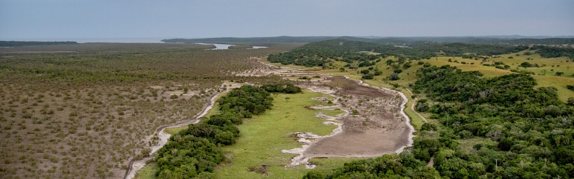 Ein Mangrovenwald in Mosambik Ein Mangrovenwald in Mosambik