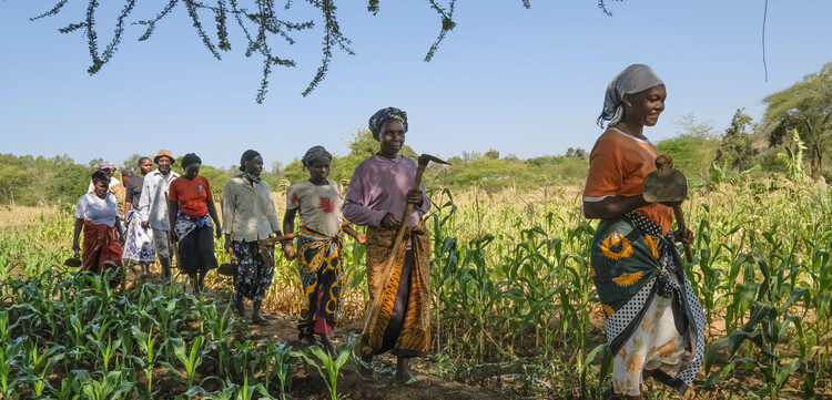 Frauen in Kenia gehen aufs Feld