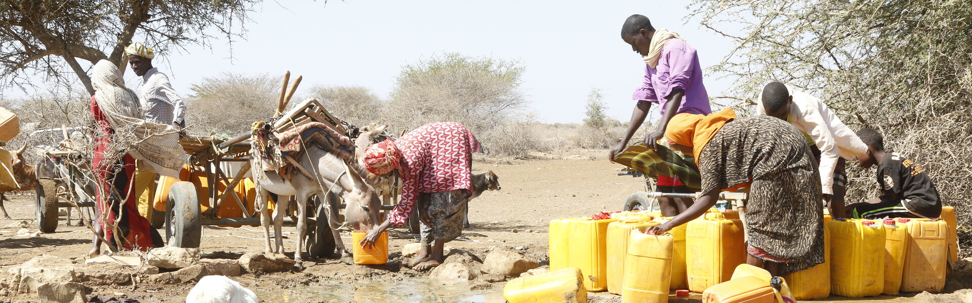 Eine Familie steht mit Wasserkanistern und Tieren in Somalia und füllen Wasser ab Eine Familie steht mit Wasserkanistern und Tieren in Somalia und füllen Wasser ab