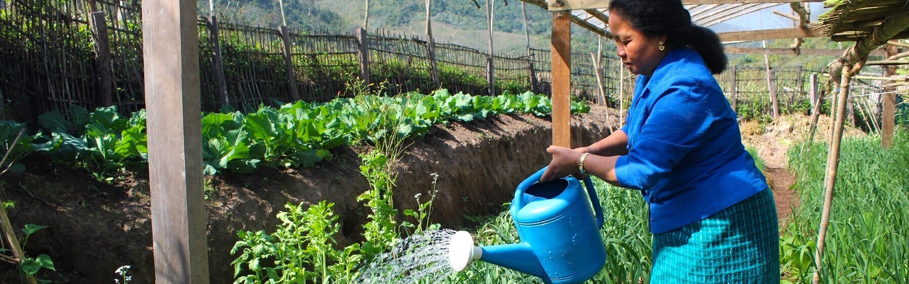 Frau in Laos bei Hilfsprojekt von ADRA Frau in Laos bei Hilfsprojekt von ADRA